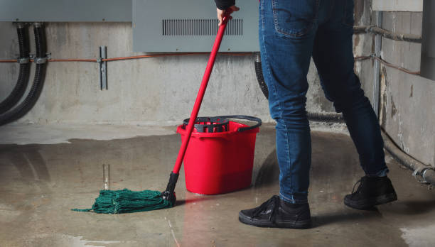 Best 24/7 water damage repair  in Cockrell Hill, TX