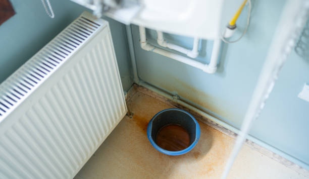 Best Water damage cleanup near me  in Cockrell Hill, TX